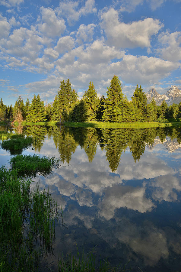 Grand Teton National Park #22 Photograph by Ray Mathis