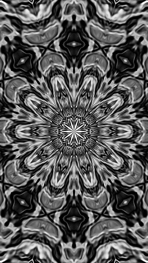 Snowflake #22 Digital Art by Belinda Cox