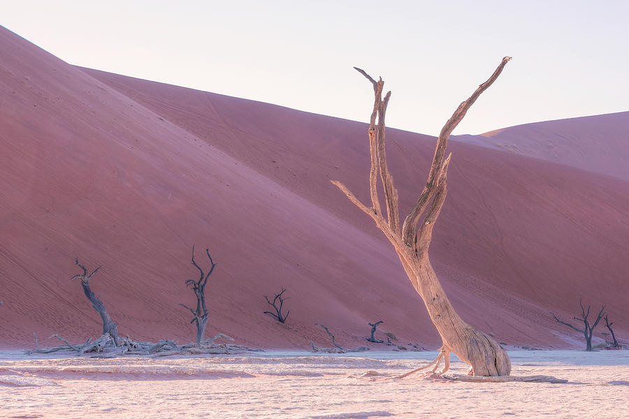 Sossusvlei - Namibia #22 Photograph by Joana Kruse