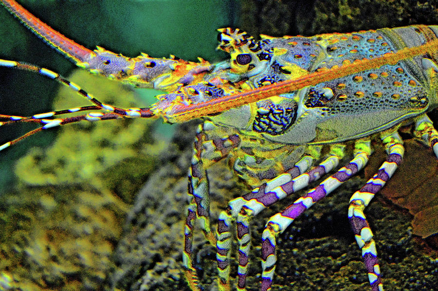 Underwater World Digital Art - Underwater World. by Andy Za Underwater World Digital Art - Underwater World. by Andy Za