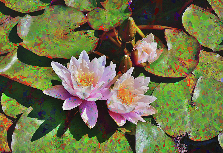 22 Water Lilies Impressionism Digital Art by Linda Brody