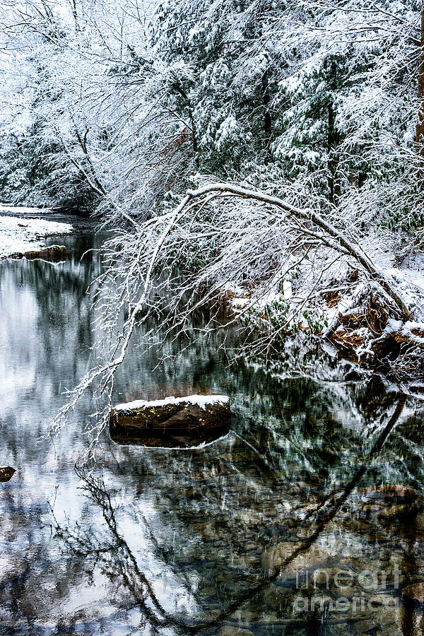 Winter along Cranberry River #22 Photograph by Thomas R Fletcher