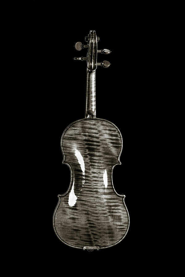 220 .1841 Violin by Jean Baptiste Vuillaume BW Photograph by M K Miller