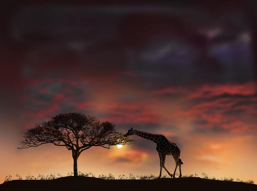 Sunset Photograph - 2200 by Peter Holme III