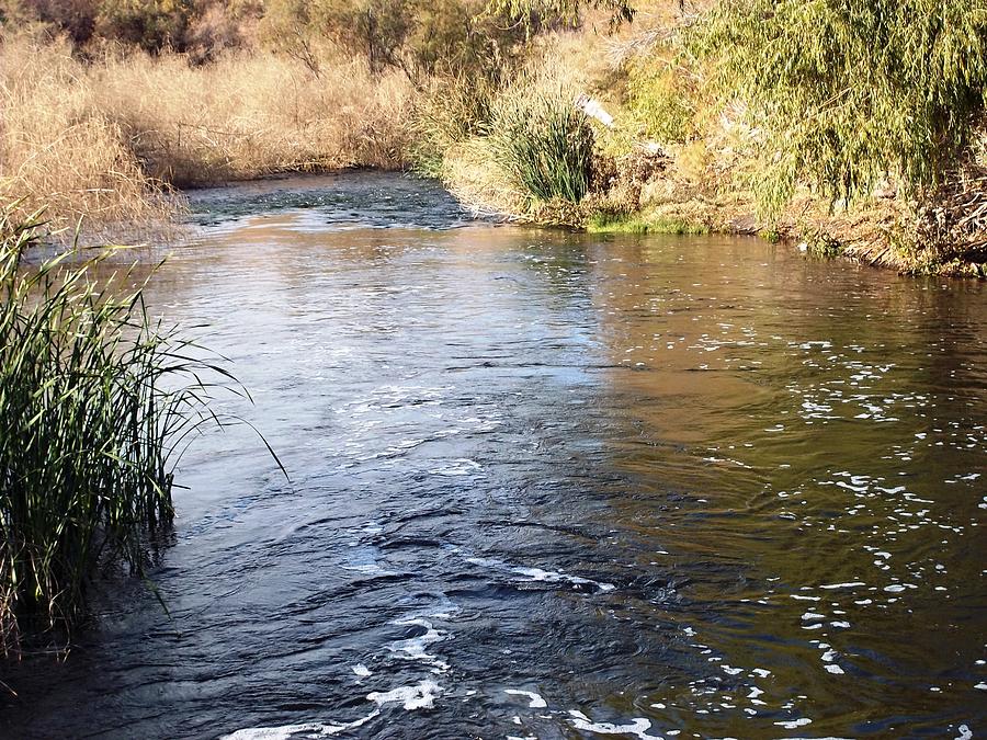 2205 - Gila River In Arizona Photograph by David Meier - Fine Art America