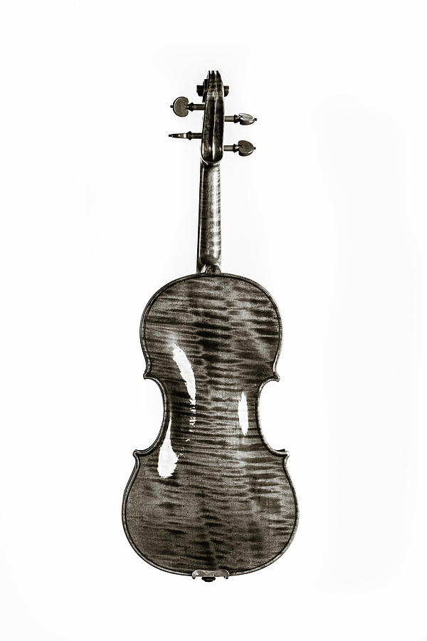 221 .1841 Violin by Jean Baptiste Vuillaume BW Photograph by M K Miller
