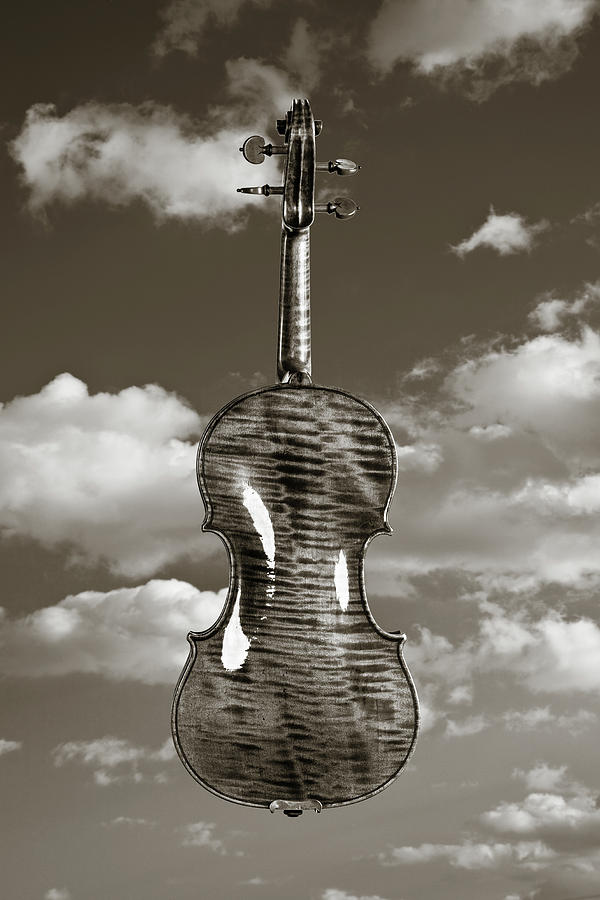 222 .1841 Violin by Jean Baptiste Vuillaume BW Photograph by M K Miller