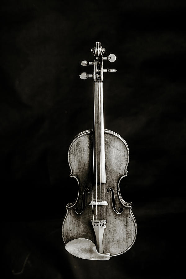 223 .1841 Violin by Jean Baptiste Vuillaume BW Photograph by M K Miller