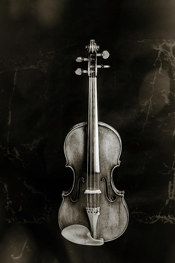 224 .1841 Violin by Jean Baptiste Vuillaume BW Photograph by M K Miller