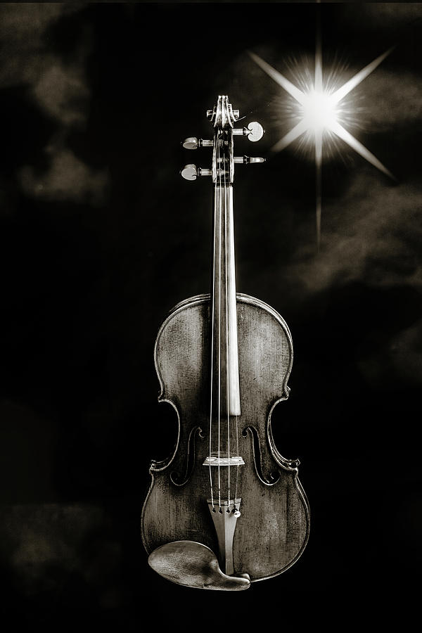 225 .1841 Violin by Jean Baptiste Vuillaume BW Photograph by M K Miller