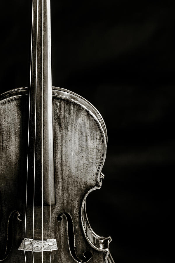 226 .1841 Violin by Jean Baptiste Vuillaume BW Photograph by M K Miller