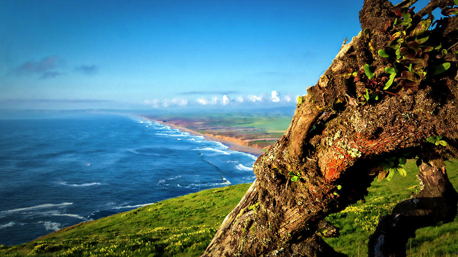 2269- Point Reyes Photograph