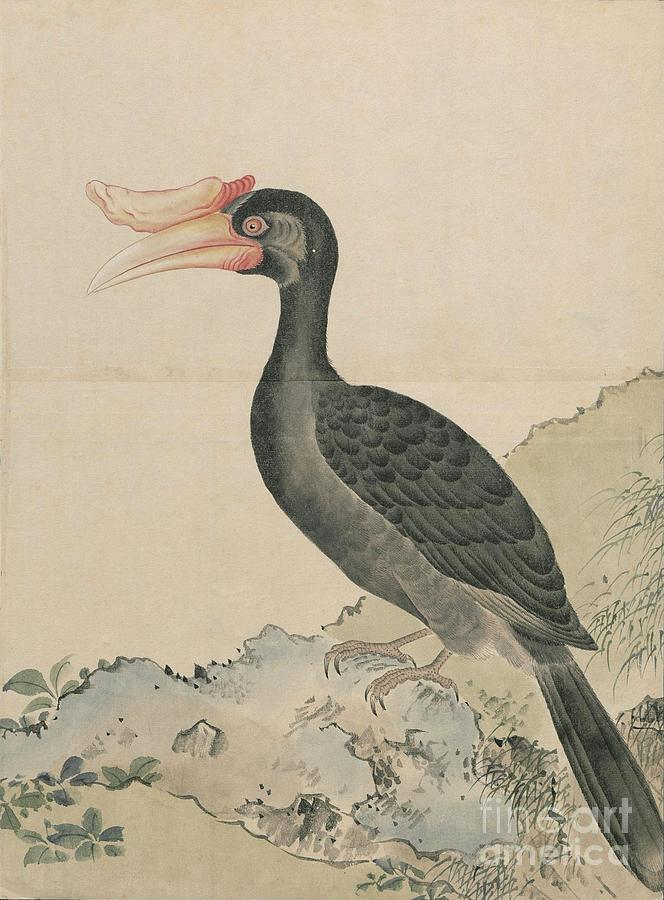 Birds of Japan in the 19th century #23 Painting by Celestial Images