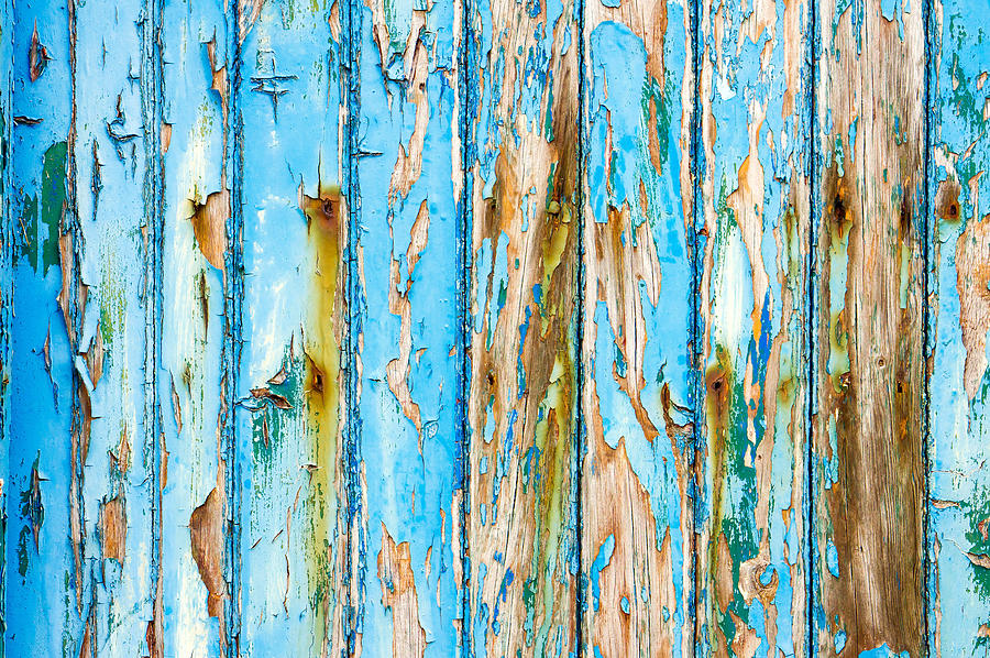 Abstract Photograph - Blue wood #23 by Tom Gowanlock