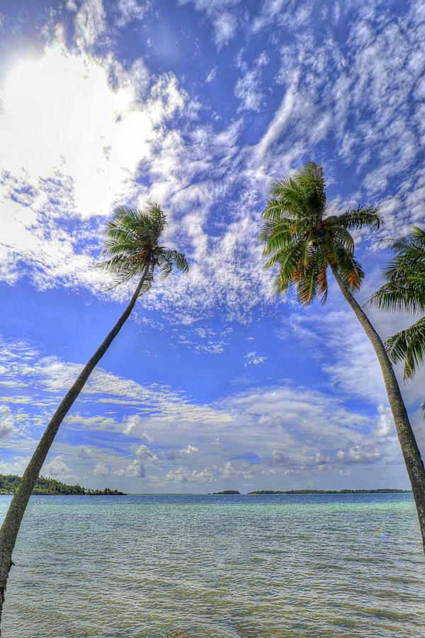 Bora Bora Tahiti #23 Photograph by Paul James Bannerman