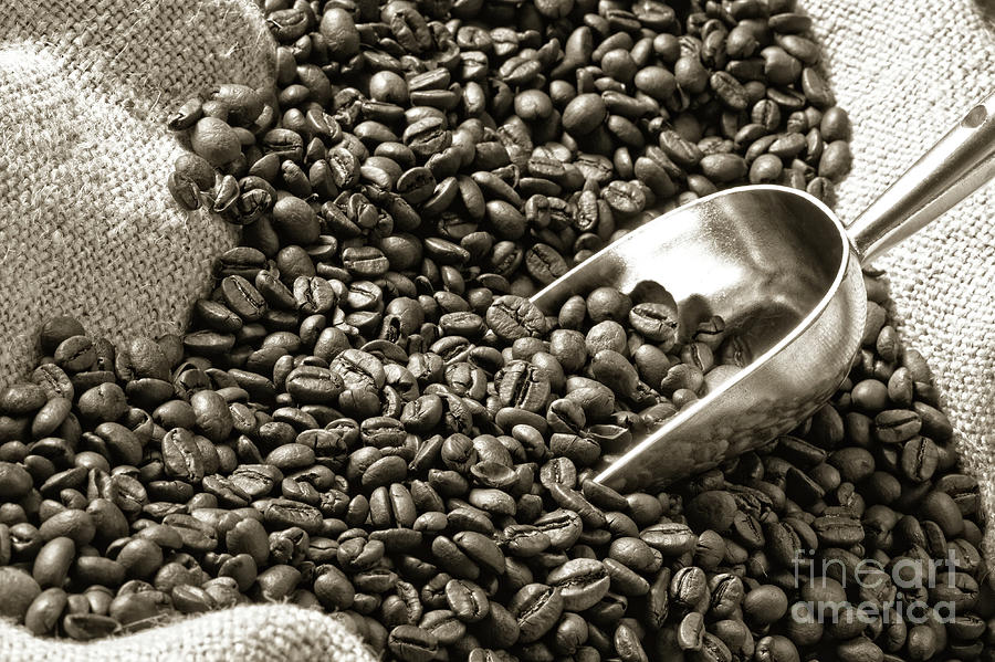 Espresso And Coffee Grain #23 Photograph by Gualtiero Boffi
