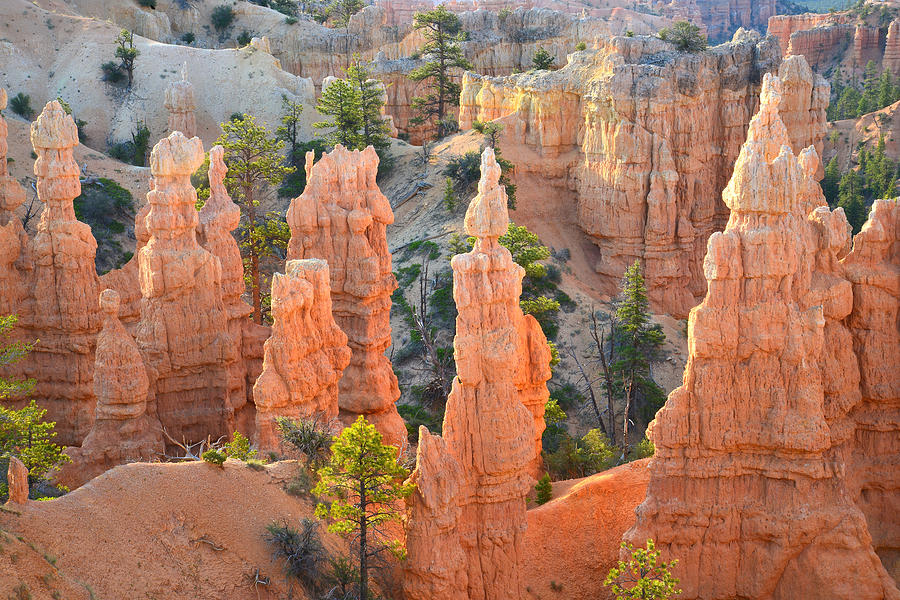 Fairyland Canyon #45 Photograph by Ray Mathis