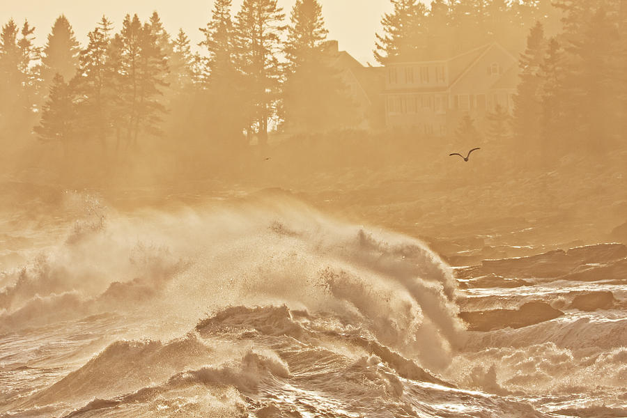 Pemaquid Point Maine Large Waves Photograph by Keith Webber Jr