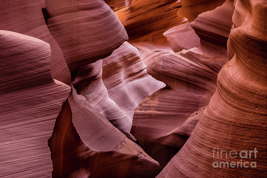 Lower Antelope Canyon #23 Photograph by Craig Shaknis