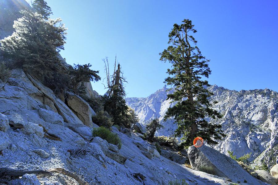 Mount Whitney Photograph by E G - Fine Art America