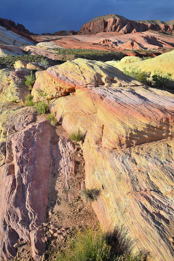 Multicolored Sandstone in Valley of Fire #2 Photograph by Ray Mathis