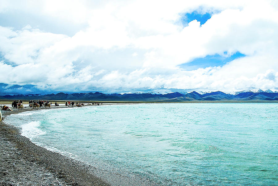 Namtso lake scenery in winter #23 Photograph by Carl Ning