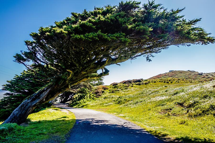 Point reyes national seashore landscapes in california  #23 Photograph by Alex Grichenko