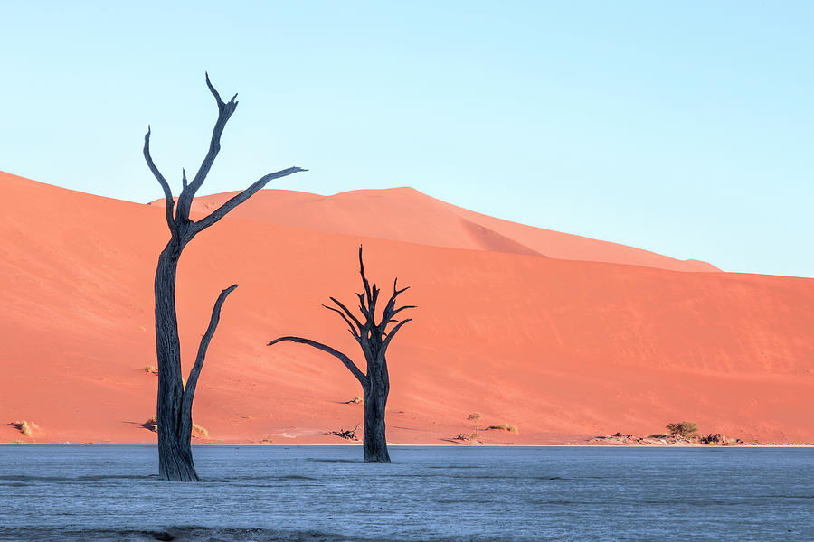 Sossusvlei - Namibia #23 Photograph by Joana Kruse