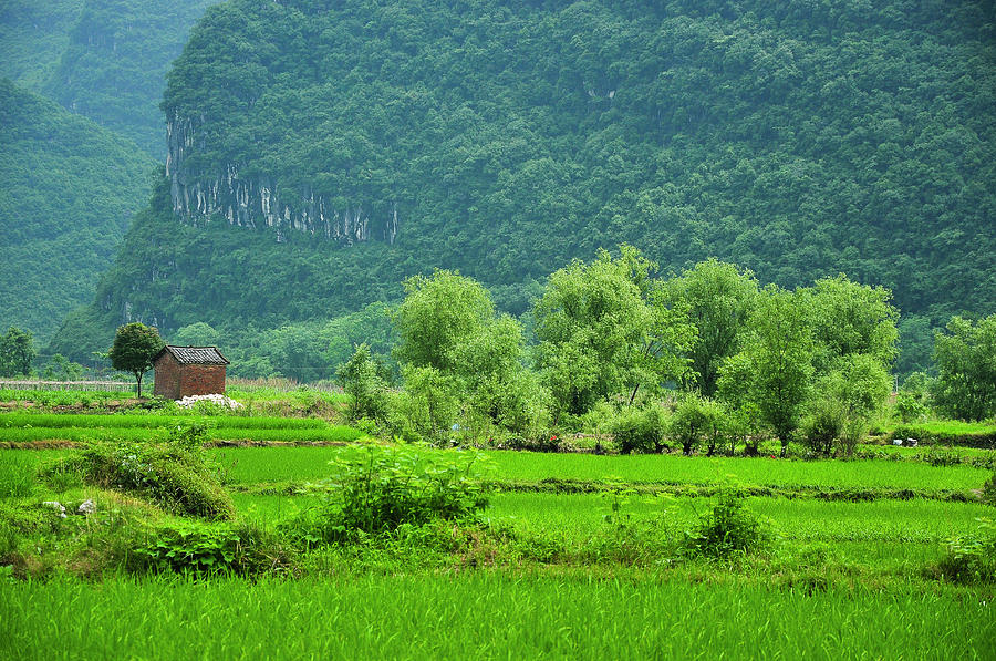 The beautiful karst rural scenery #23 Photograph by Carl Ning