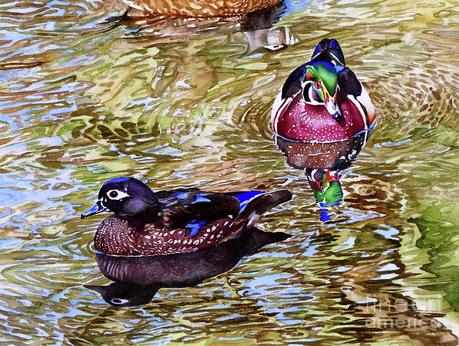 #234 Wood Ducks #234 Painting by William Lum