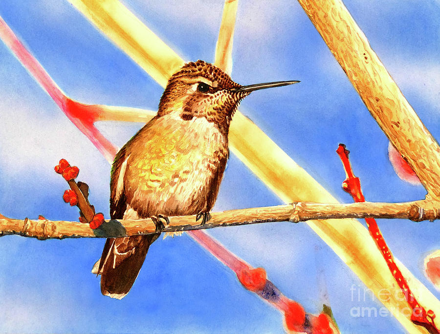 #235 Hummingbird #235 Painting by William Lum