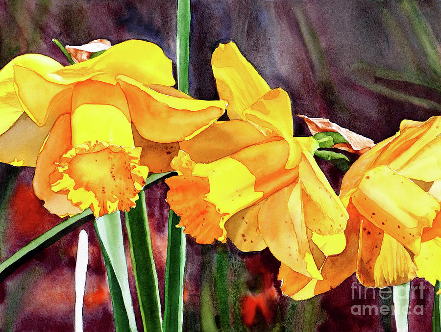 #239 Daffodil 1 #239 Painting by William Lum