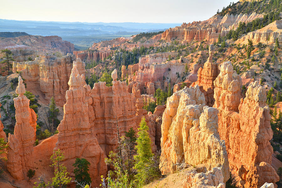 Fairyland Canyon #12 Photograph by Ray Mathis
