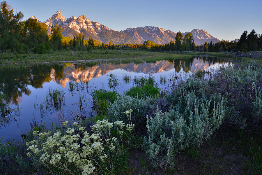 Grand Teton National Park #24 Photograph by Ray Mathis