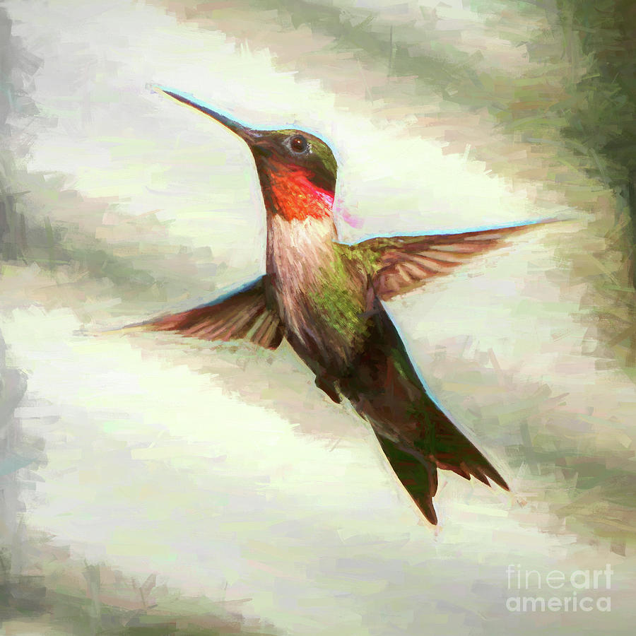 Hummingbird #24 Photograph by John Freidenberg