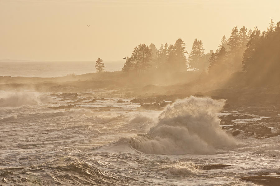 Pemaquid Point Maine Waves Photograph by Keith Webber Jr