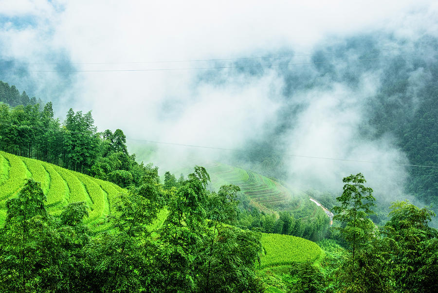 Mountain scenery in mist Photograph by Carl Ning - Fine Art America