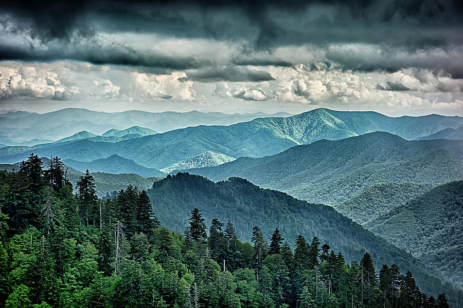 Scenes Along Appalachian Trail In Great Smoky Mountains #24 Photograph by Alex Grichenko