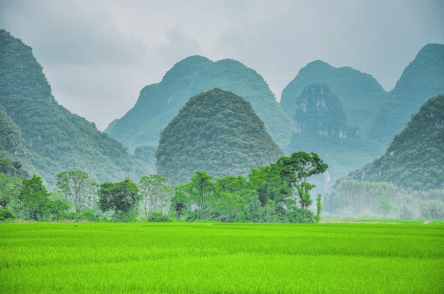 The beautiful karst rural scenery #24 Photograph by Carl Ning