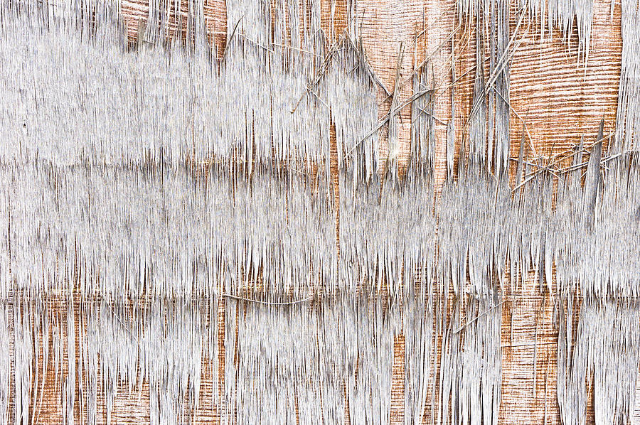 Abstract Photograph - Weathered wood #24 by Tom Gowanlock