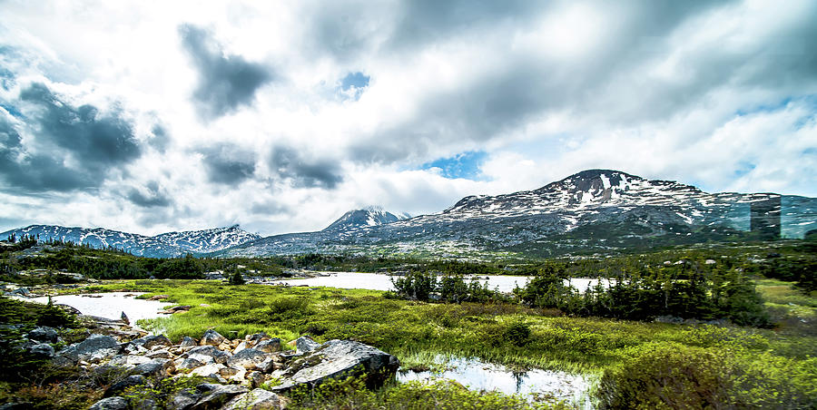 White Pass Mountains In British Columbia #24 Photograph by Alex Grichenko