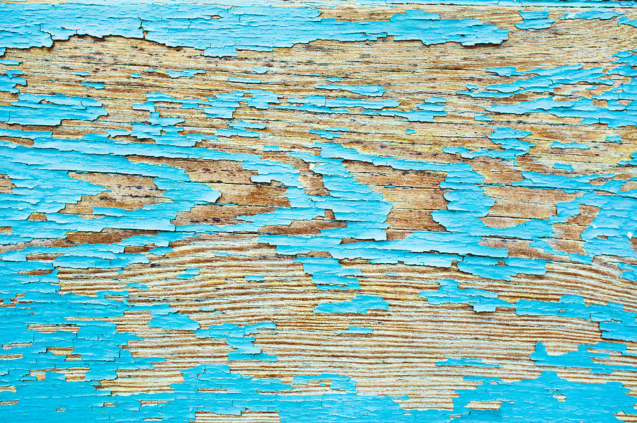 Abstract Photograph - Wood background #24 by Tom Gowanlock