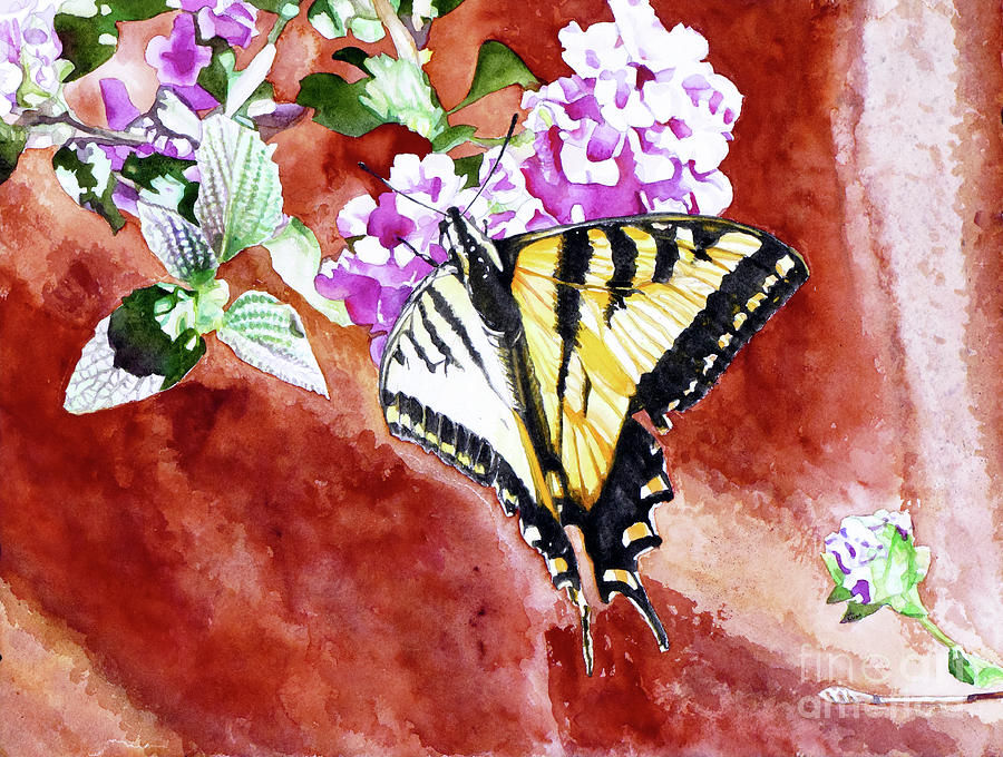 #241 Swallowtail #241 Painting by William Lum