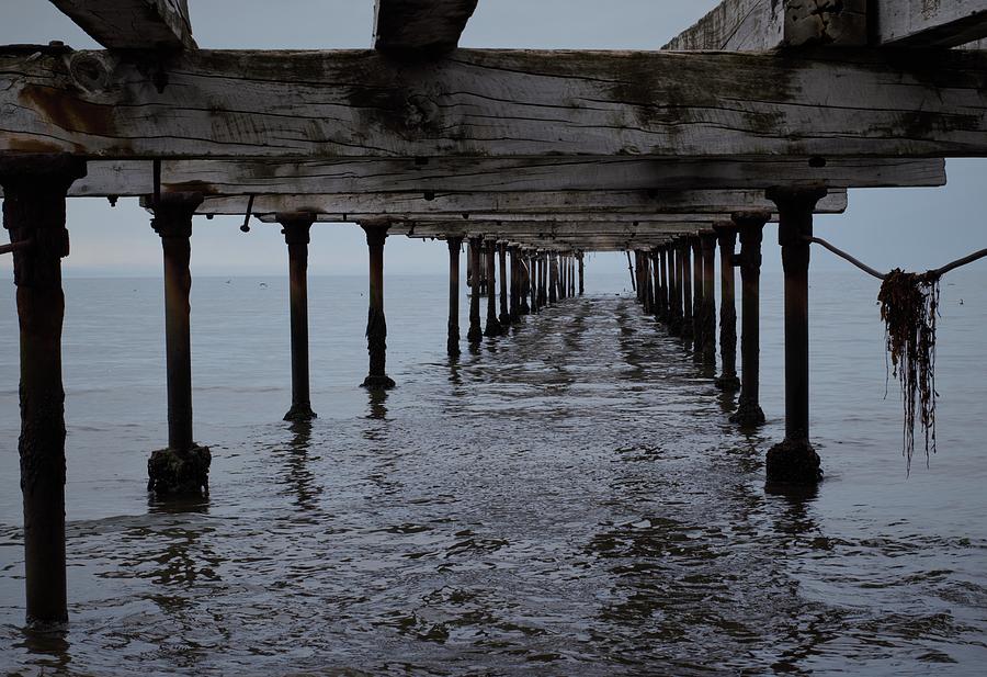 Old Dock in Chile Photograph by Mark Mitchell