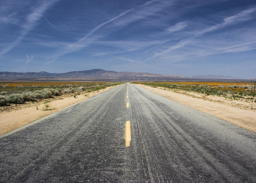 Antelope Valley Poppy Reserve by Beth Taylor Antelope Valley Poppy Reserve by Beth Taylor