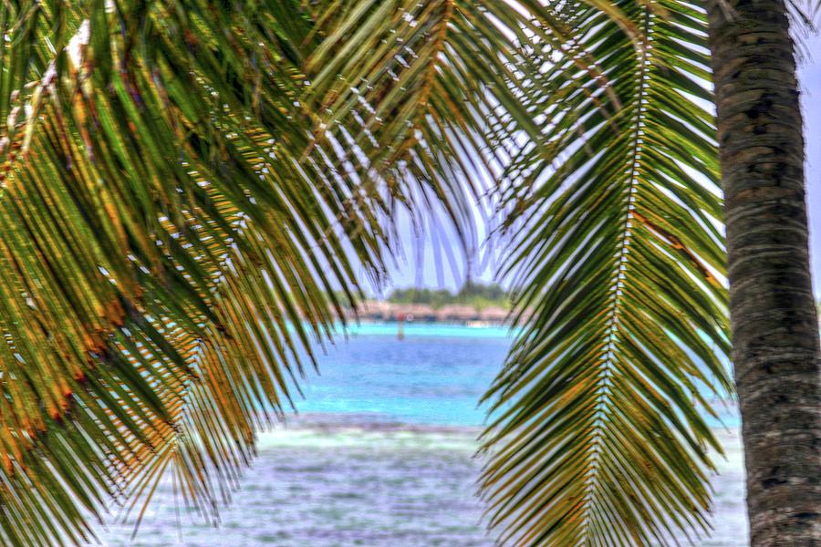 Bora Bora Tahiti #25 Photograph by Paul James Bannerman