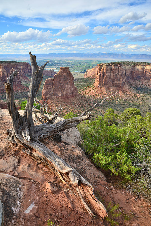 Colorado National Monument #25 Photograph by Ray Mathis