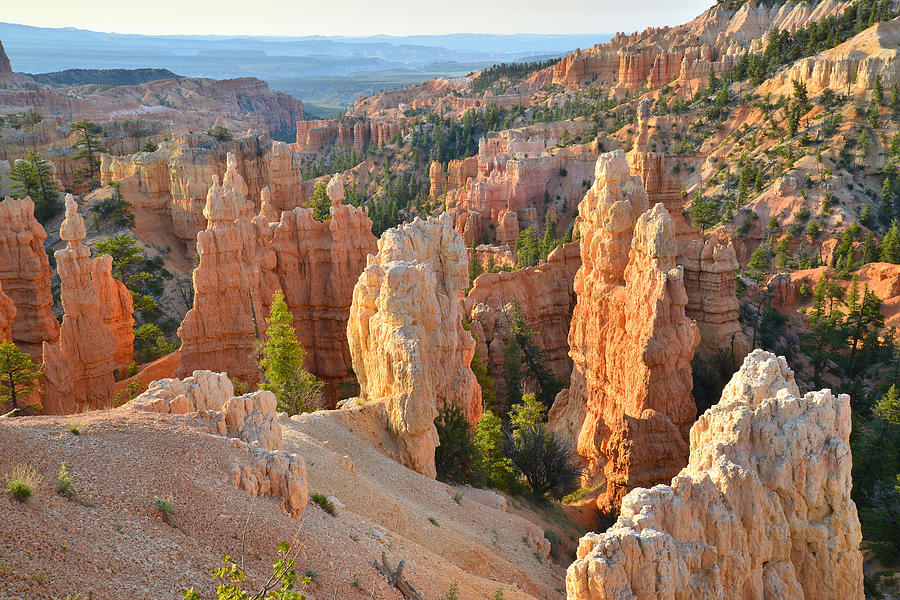 Fairyland Canyon #41 Photograph by Ray Mathis