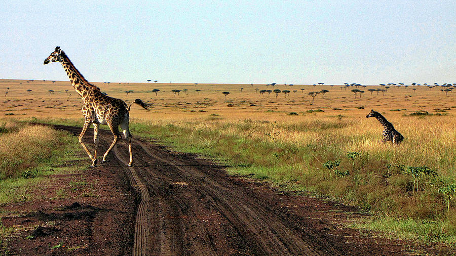 Kenya #25 Photograph by Paul James Bannerman