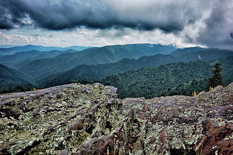 Scenes Along Appalachian Trail In Great Smoky Mountains #25 Photograph by Alex Grichenko